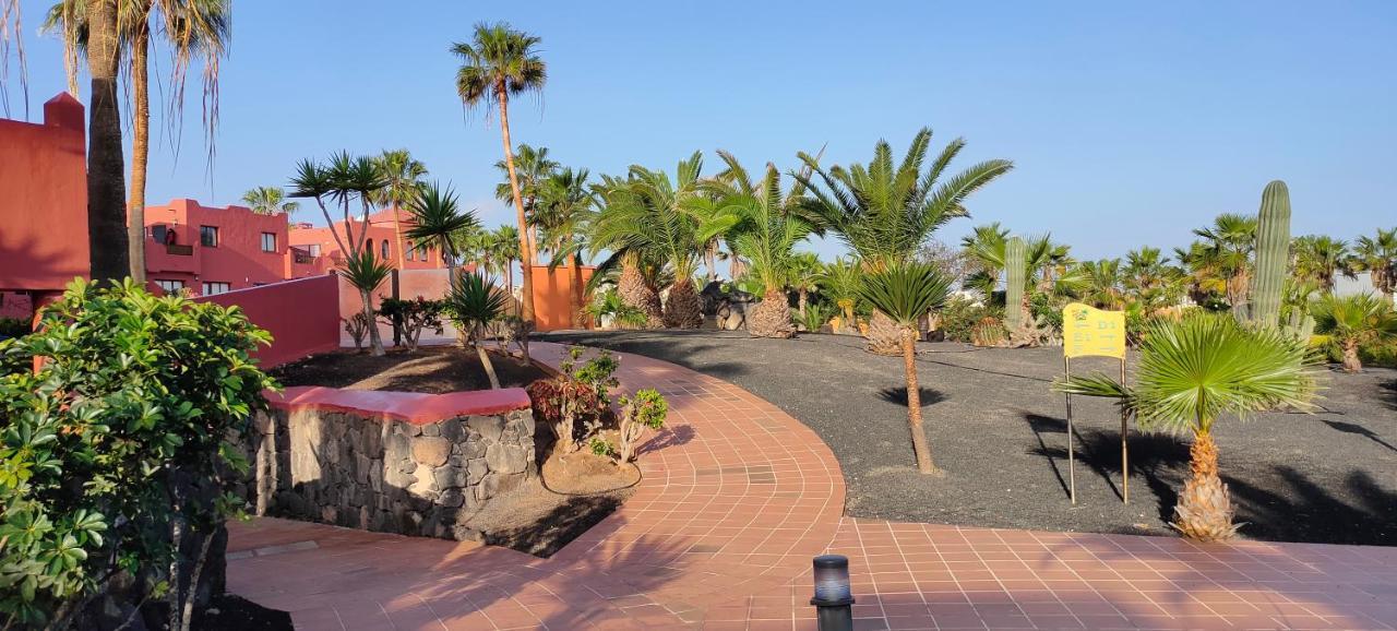 Small&Sunny Wifi Premium Vivienda Vacacional Corralejo Buitenkant foto